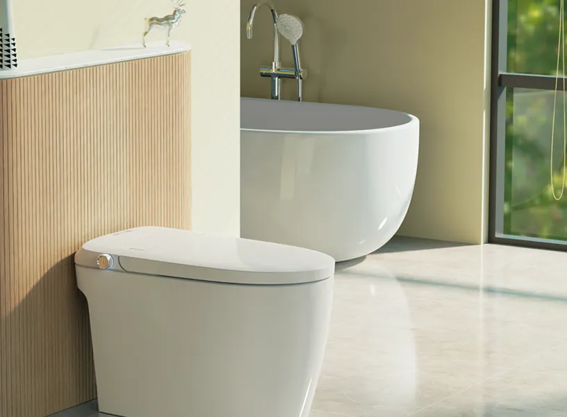 Интеллектуальные унитазы